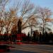 Мемориал Скорбящей матери в городе Брюховецкая
