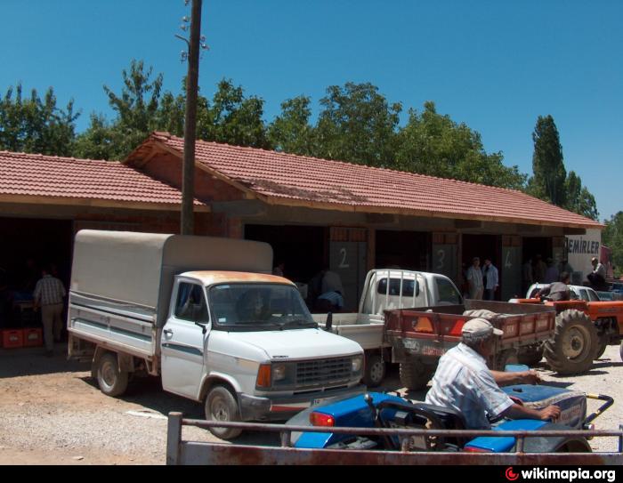Durak Köyü Kiraz Hali