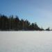Устье реки Загрёбки в городе Ногинск