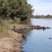 Lake Monger in Perth, WA city