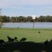 Lake Monger Reserve in Perth, WA city