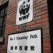 WWF House in Hong Kong city