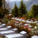 Martyrs Cemetery in Gramsh city