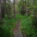 Hay Scenic Reserve