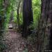 Hay Scenic Reserve