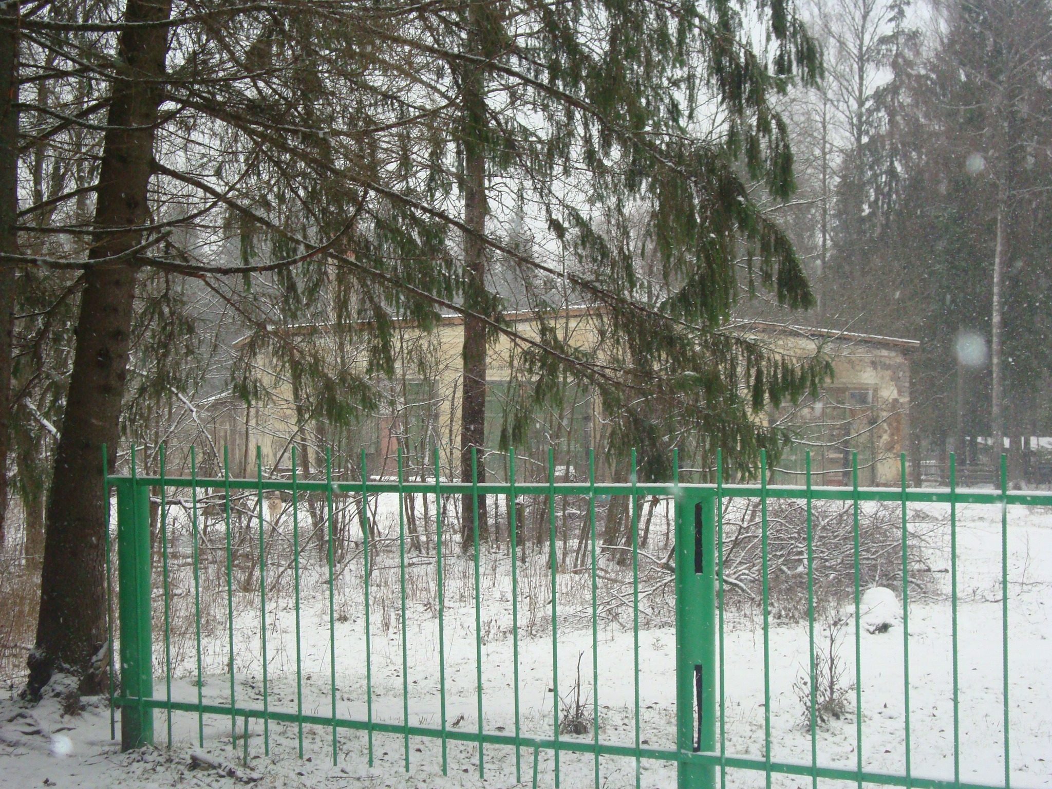 World / Russia / Moskovskaja Oblast / Novopetrovskoye , 13 км от центра ...