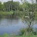 Pond of Aviatorov park