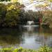 Wadabori Lake in Tokyo city