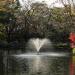 Wadabori Lake in Tokyo city