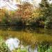 Wadabori Lake in Tokyo city