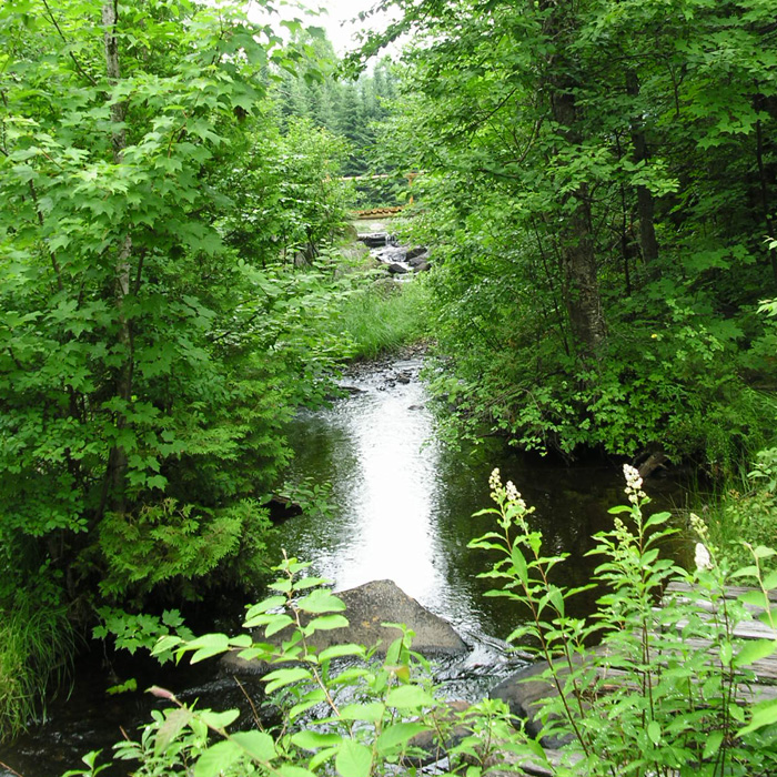 3565 Chemin Du Lac-legault Sainte-lucie-des-laurentides Qc J0t 2j0