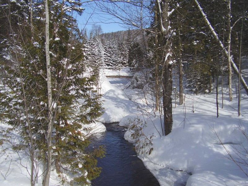3565 Chemin Du Lac-legault Sainte-lucie-des-laurentides Qc J0t 2j0