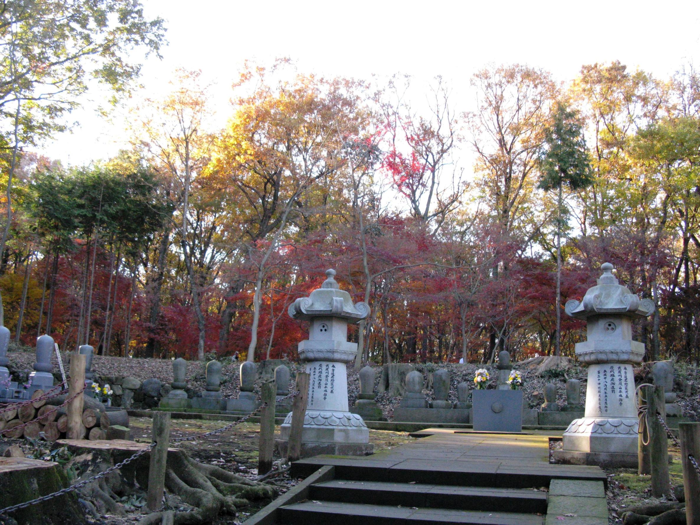 平林寺