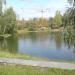 Технический водоём в городе Москва