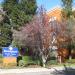 Homestead Studio Suites San Jose - Downtown in San Jose, California city