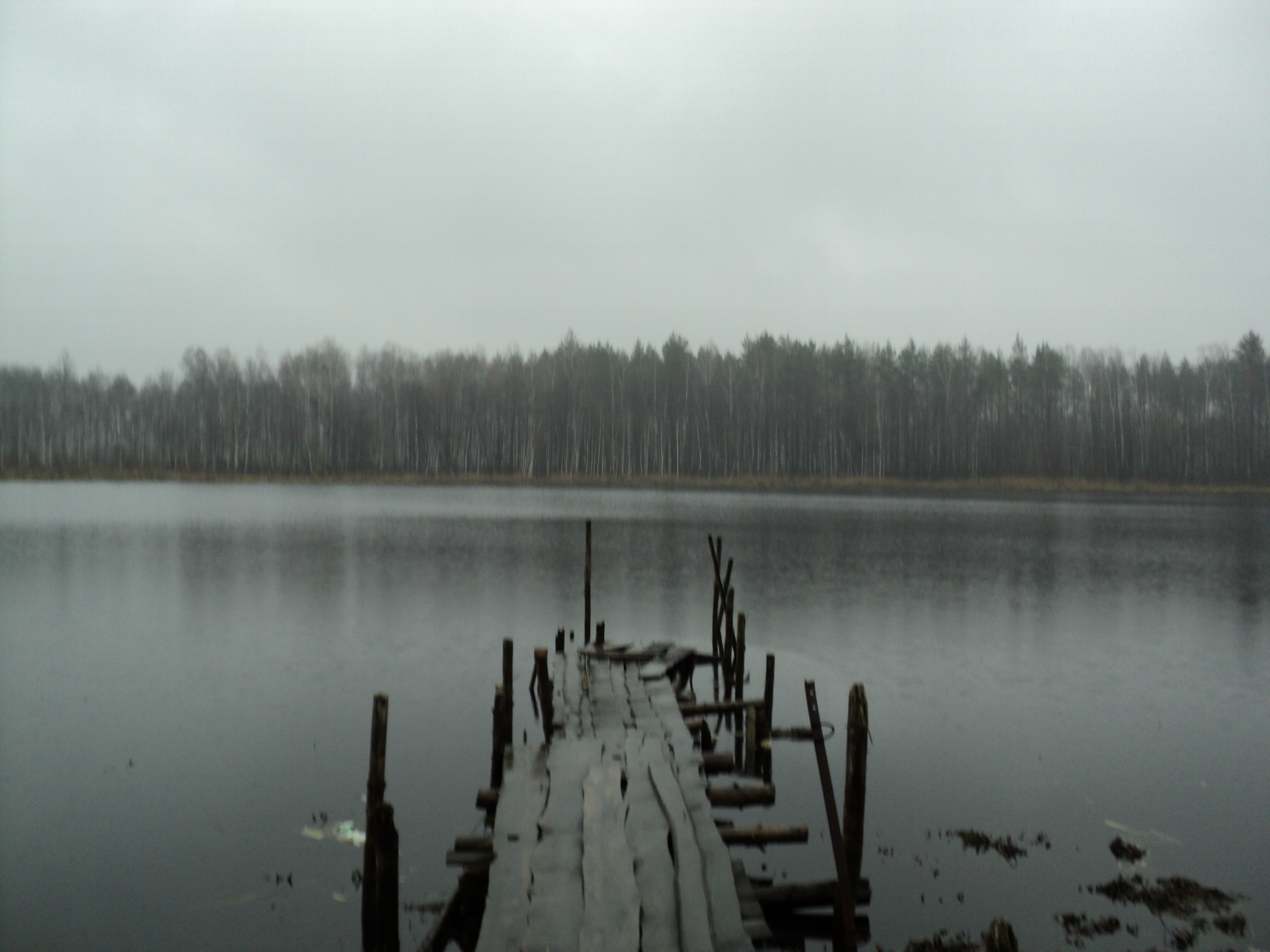 Озеро Студенец Рязанская область