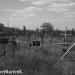The old cemetery where soldiers who died in local hospitals during WWII are buried in Orenburg city