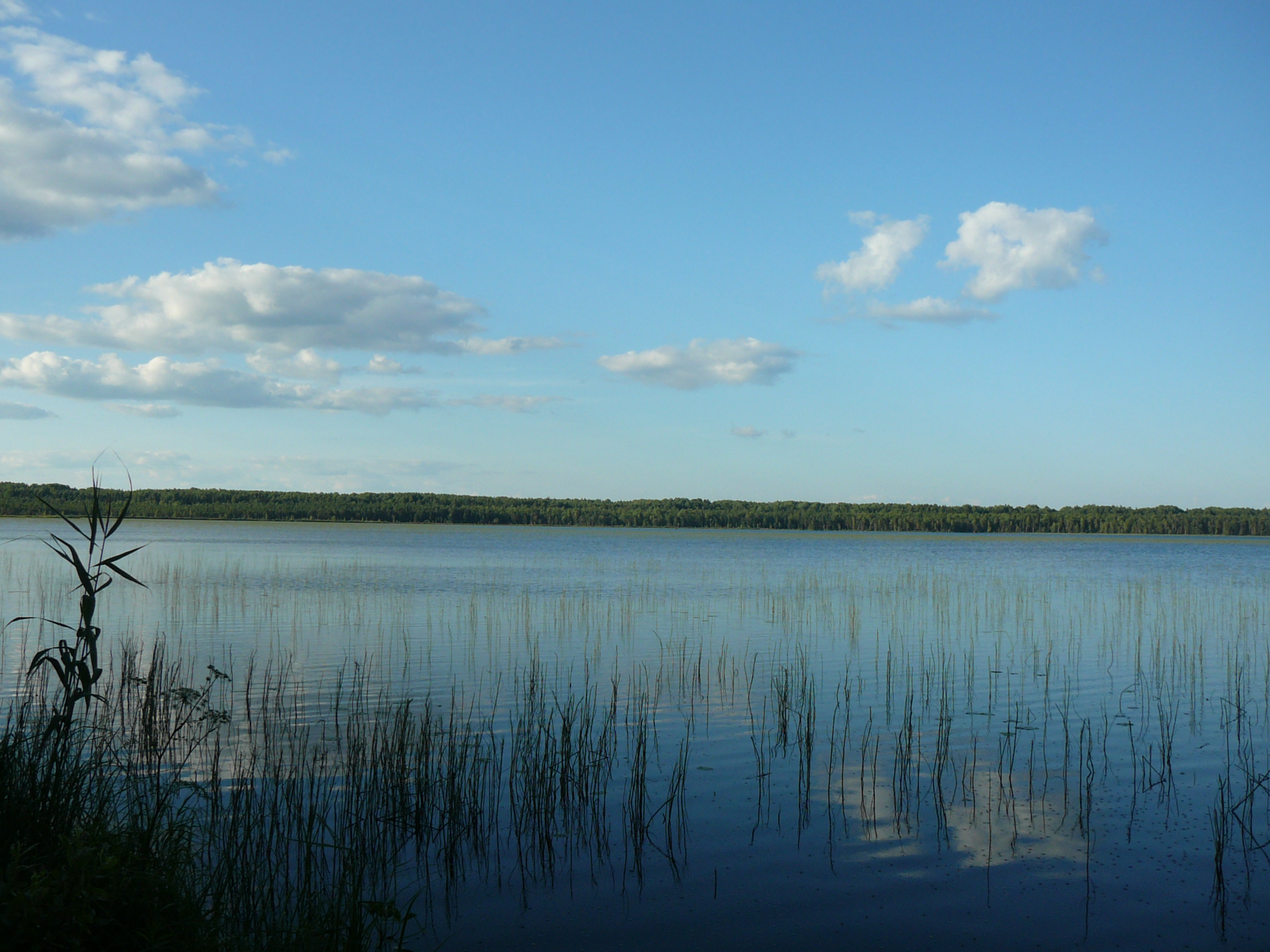 Озеро Лесное Тверь