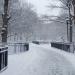Tompkins Square Park in New York City, New York city