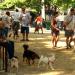 Tompkins Square Park in New York City, New York city