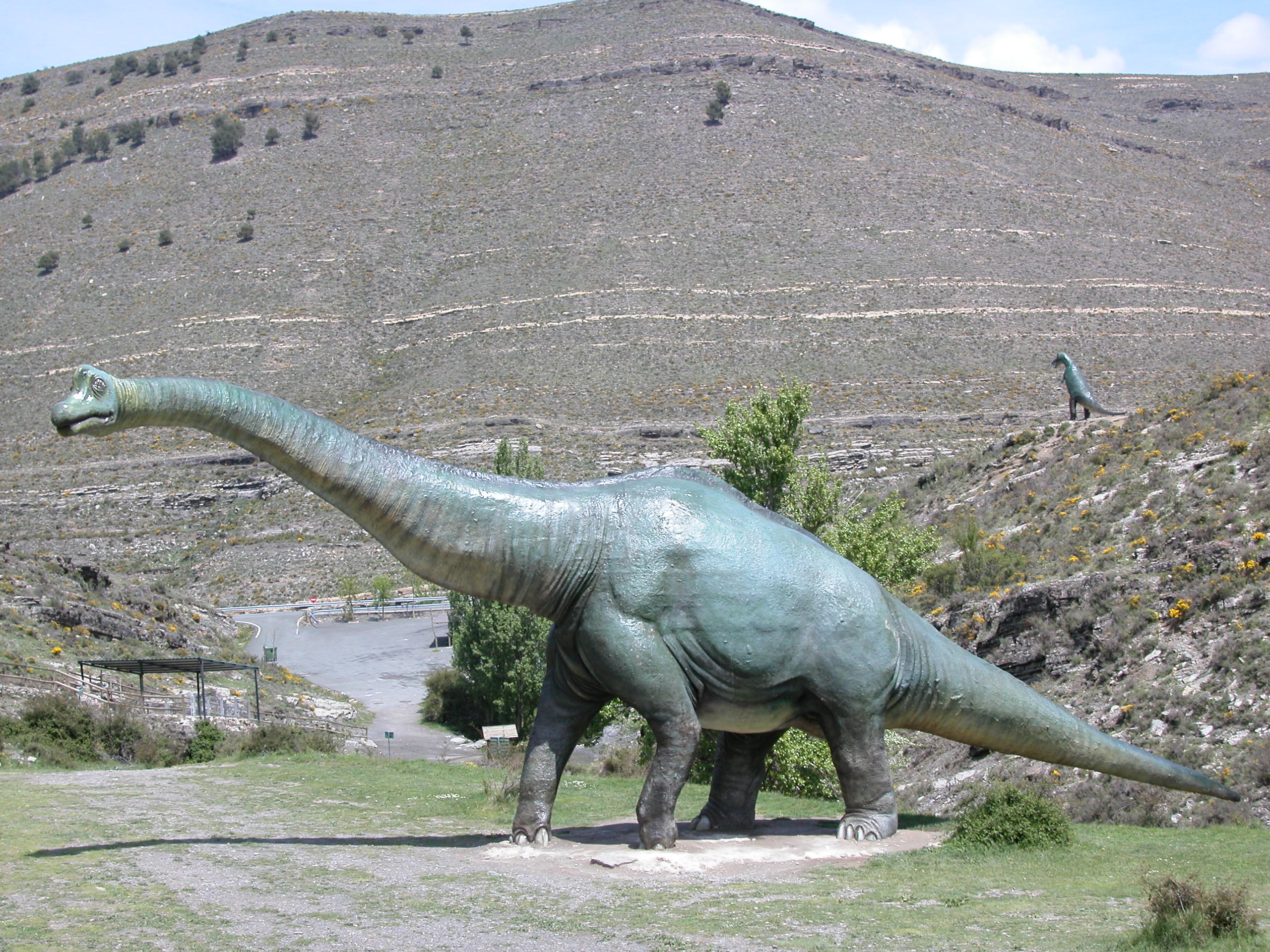 Zona de fósiles y huellas de dinosaurios