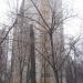 Izmaylovsky proyezd, 18 корпус 1 in Moscow city