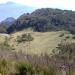 Puncak Cemoro Kandang