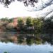 Sampo-ji ike pond in Tokyo city