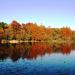 Sampo-ji ike pond in Tokyo city