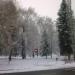 Parcul Central în Miercurea Ciuc oraş