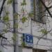 Открытое шоссе, 3 корпус 13 в городе Москва