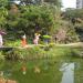 Japanese Garden in Shenzhen city