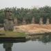 Replica of Statues of Easter Island in Shenzhen city