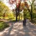 Vasaparken Park in Stockholm city