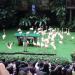 Theatrical Performances of the birds in Republic of Singapore city