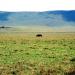 Crater Gorongoro