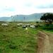 Crater Gorongoro