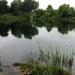 Westkreuzteich - 