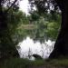 Westkreuzteich - 
