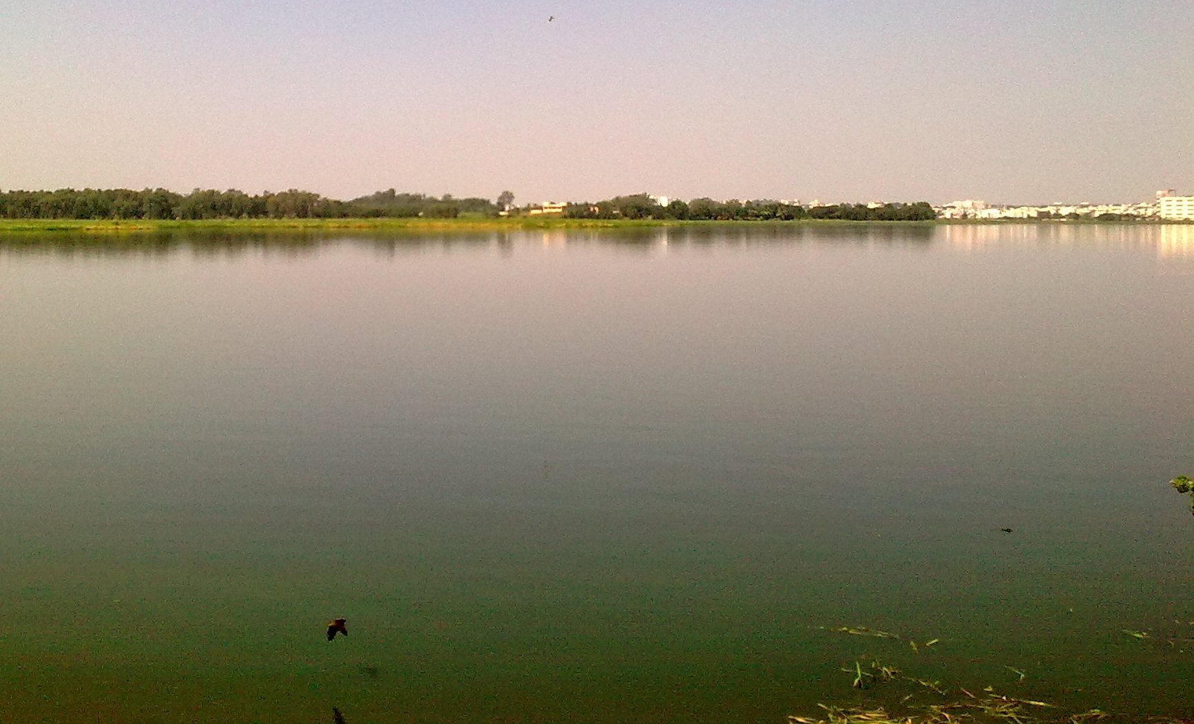 Bellandur Lake in Karnataka Bengaluru by cbseinsights.com
