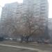 Petko R. Slaveykov Street, 3 in Stara Zagora city