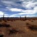 Nationalpark Los Cardones