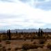 Parque Nacional Los Cardones