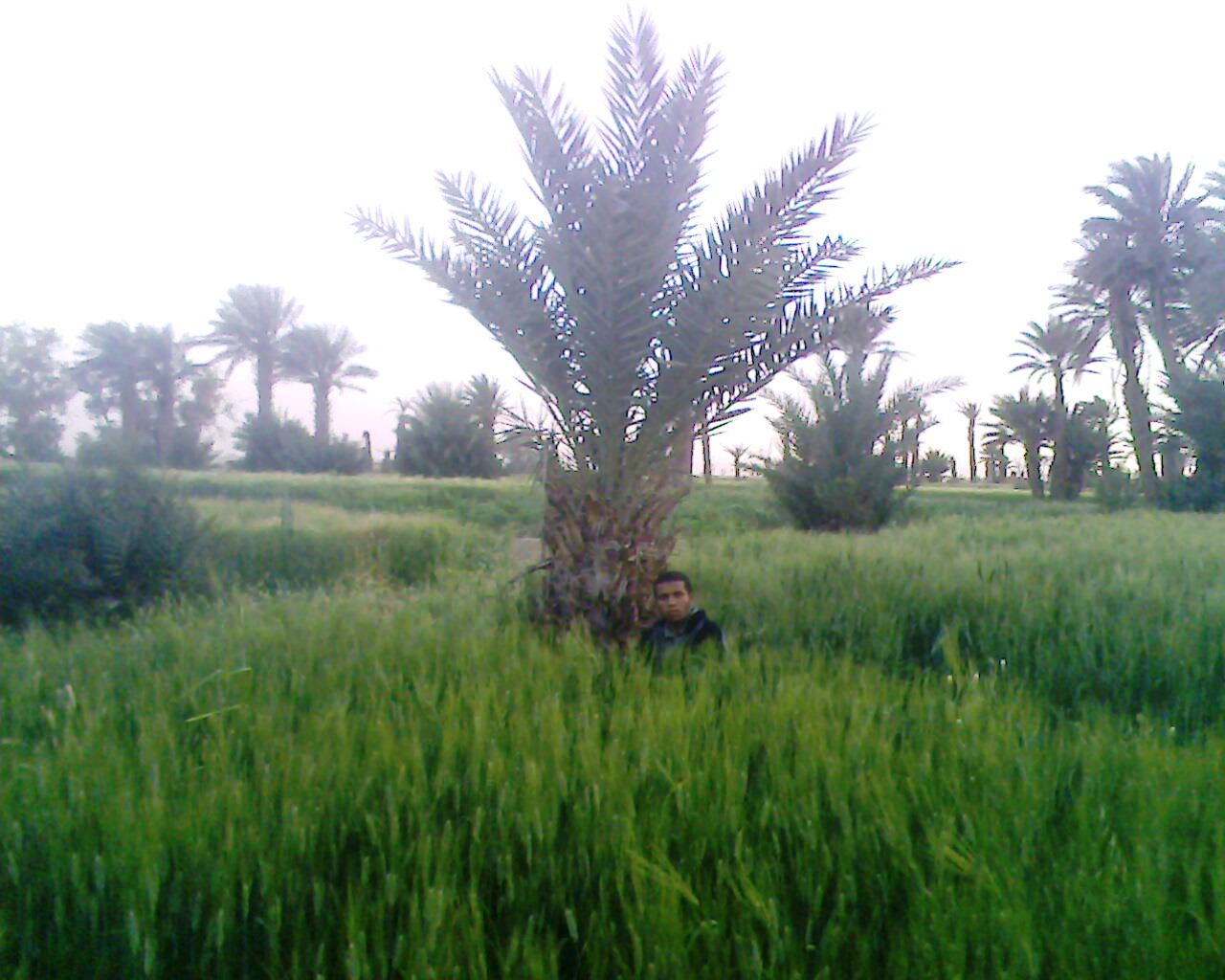 zaouia sidi lhaouari Tinejdad