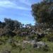 Nuraghe Sos Terrelas I