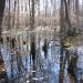 Great Swamp National Wildlife Refuge