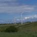 Elektrownia wiatrowa Cisowo