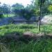 UMBUL 
