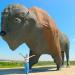 World's Largest Buffalo