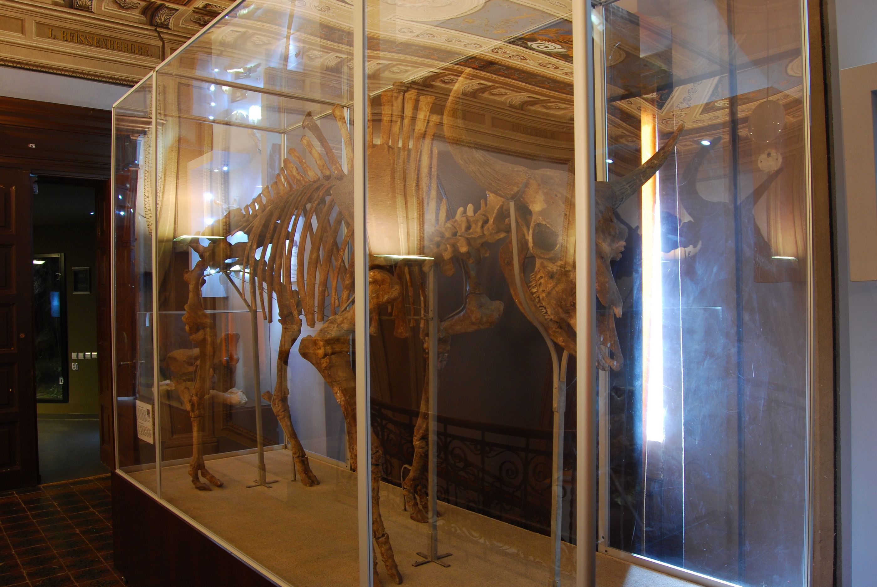 Museum of Natural History